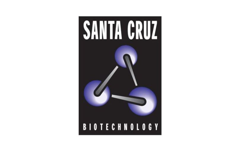 Santa Cruz Biotechnology FREE shipping
NO additional handling or carrier costs
NO surprise bills
FREE Antibody Samples – up to 3 for each ordered antibody
FREE Santa Cruz bottle cooler with every order
FREE Shipping for all LabForce brands if combined with a SC order