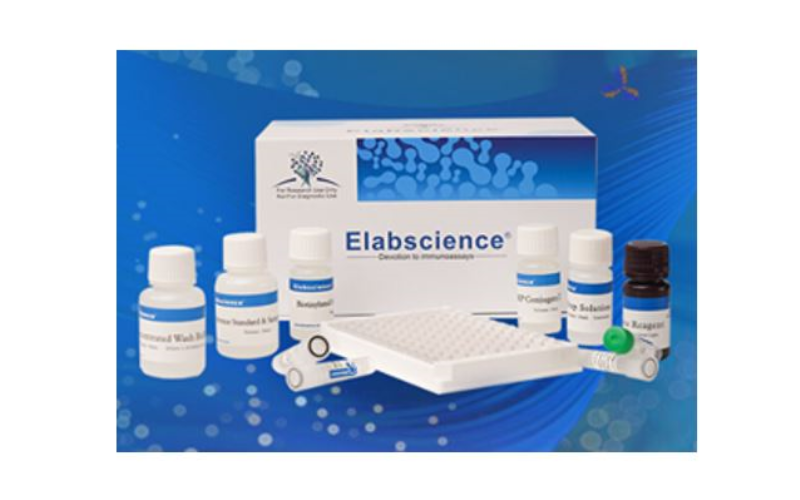 Free Antibody, ELISA * Antibodies / FCM-antibody
* ELISA kits
* Cell detection kits
only pay CHF 25.- for shipping and handling; read more: